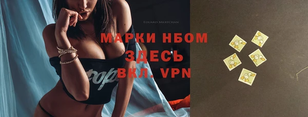 шишки Мегион