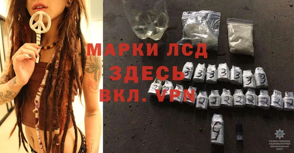 шишки Мегион