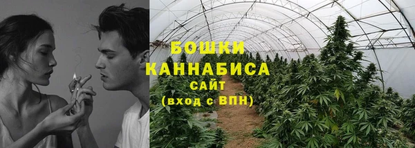 крисы Абдулино
