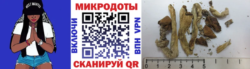 Галлюциногенные грибы Cubensis  Черногорск 